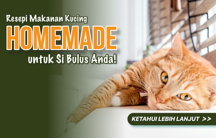Resepi Makanan Kucing Homemade untuk Si Bulus Anda!